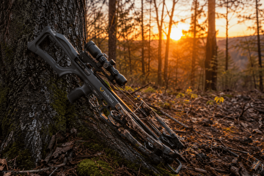 best crossbows for deer hunting